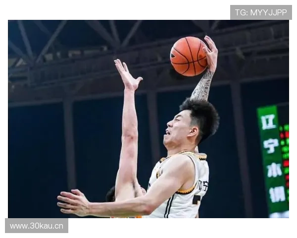 [CBA]常规赛3月19日：辽宁VS深圳 张镇麟集锦.